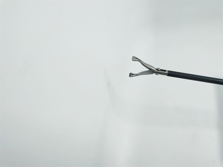 Laparoscopic Babcock Forceps