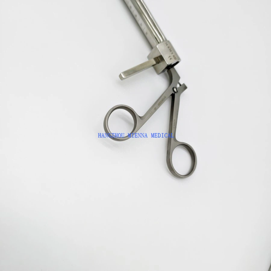 IMG20250314102332 IMG20250314102332