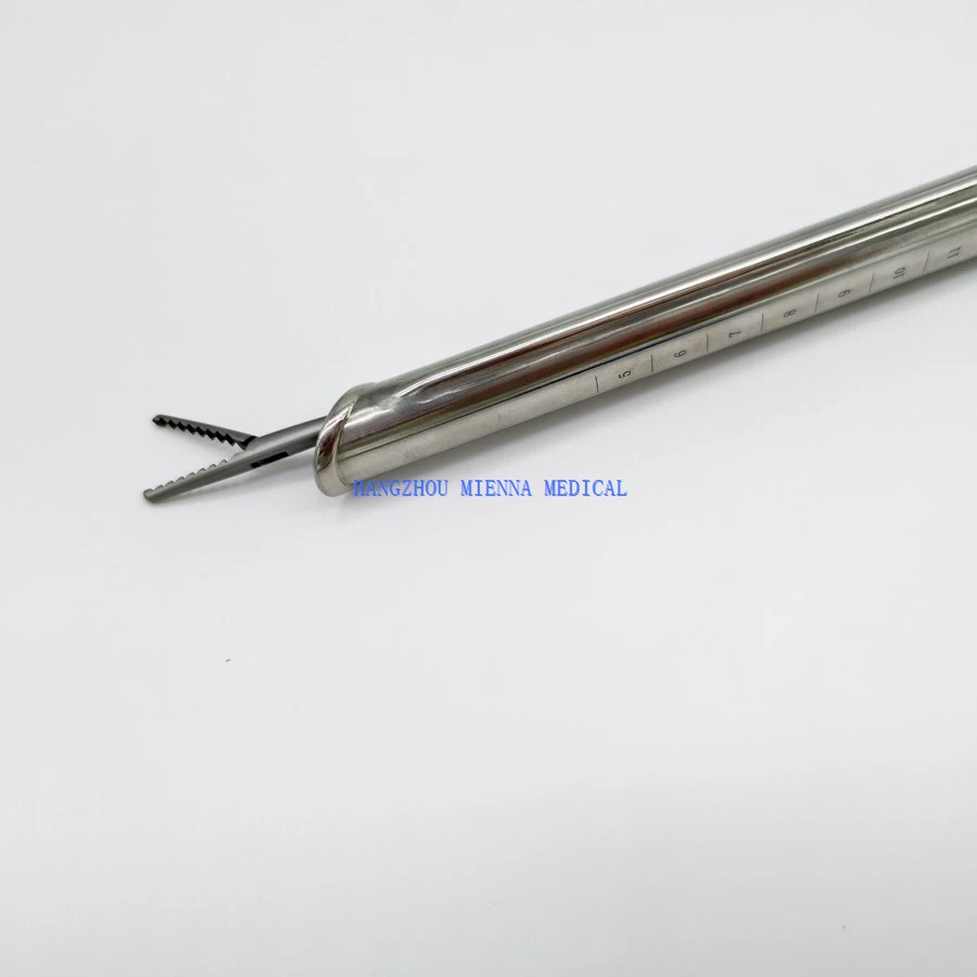 IMG20250314102345 IMG20250314102345