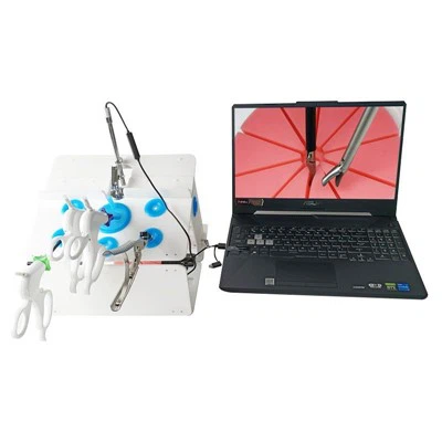 मेडिकल एंडोस्कोपी लेप्रोस्कोपिक प्रशिक्षण बॉक्स